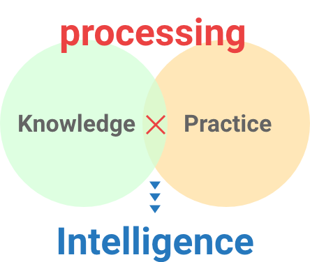 Knowledge X Practice = Intelligence