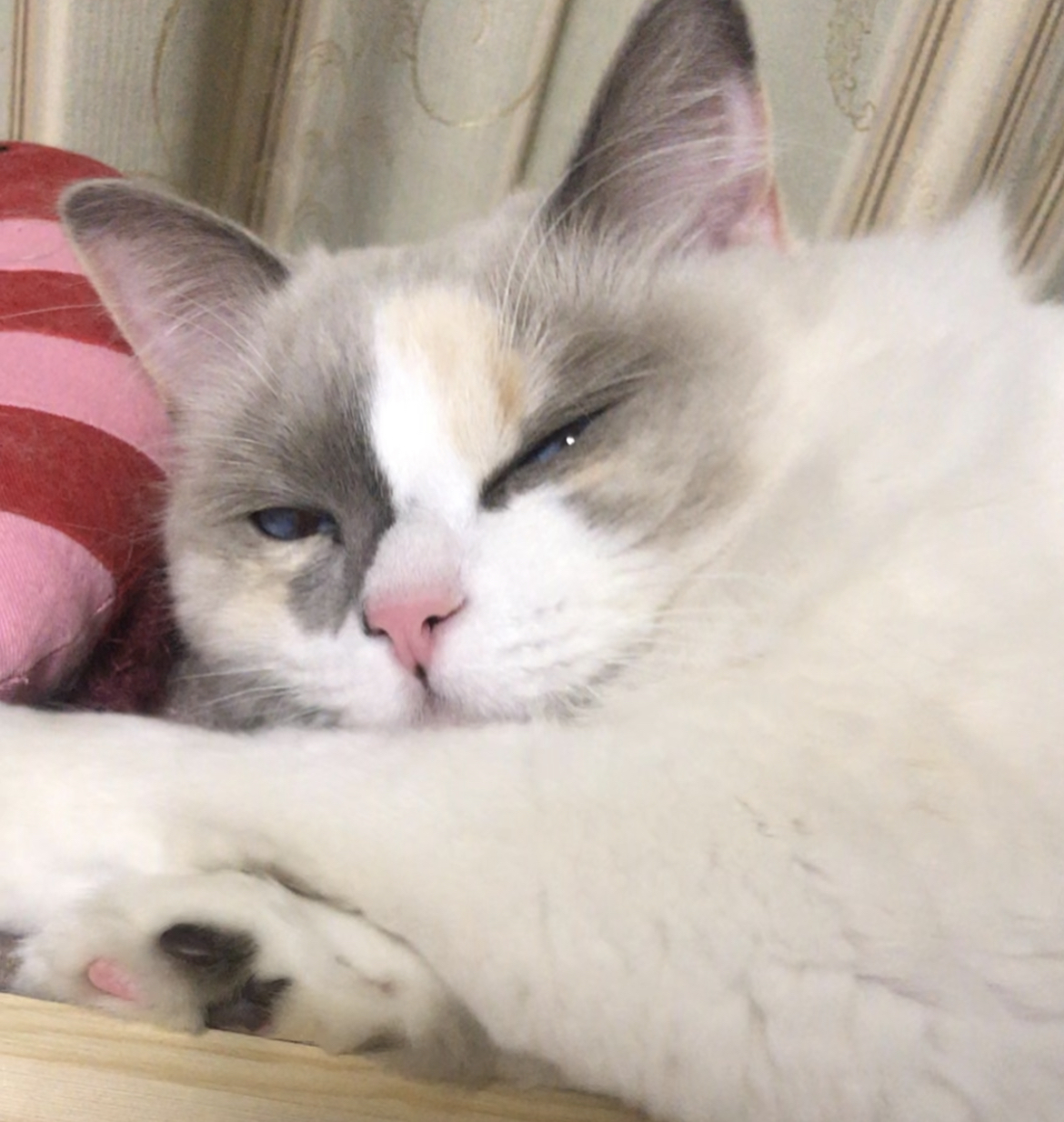 よくわかる利益の仕組み講座